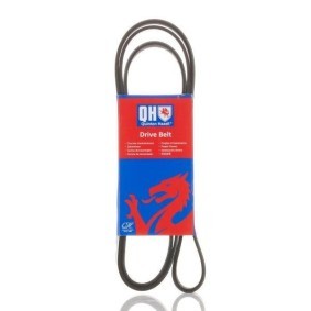 Achetez des Courroie Poly-V QUINTON HAZELL QBR61875 à prix pour 28,14 €