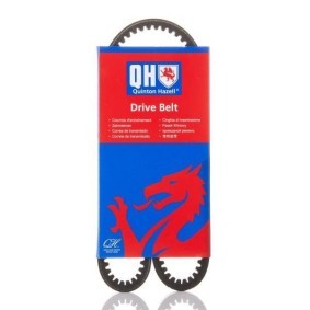 Achetez des Courroie trapézoïdale QUINTON HAZELL QBA800 à prix pour 8,65 €