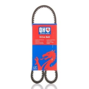 Comprar Correa trapezoidal de QUINTON HAZELL QBA825 a bajo precio de 7,68 €