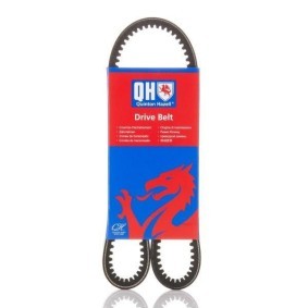 Comprar Correa trapezoidal de QUINTON HAZELL QBA838 a bajo precio de 9,65 €