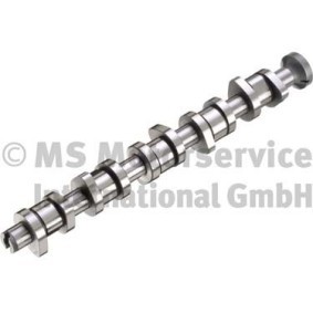 Nockenwelle 50006339
