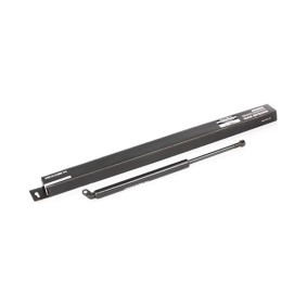 Heckklappendämpfer 219G0033