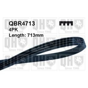 Keilrippenriemen QBR4713