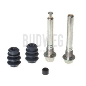 Acquista Guarnizione, Pistoncino pinza freno da BUDWEG CALIPER 183208 a buon mercato per soli 6,34 €
