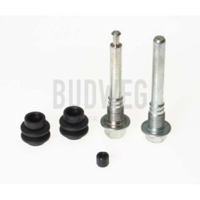 Acquista Guarnizione, Pistoncino pinza freno da BUDWEG CALIPER 183407 a buon mercato per soli 6,34 €