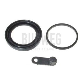 Acquista Guarnizione, Pistoncino pinza freno da BUDWEG CALIPER 184846 a buon mercato per soli 7,70 €