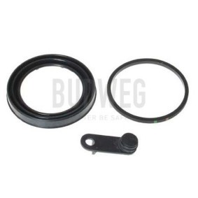 Acquista Guarnizione, Pistoncino pinza freno da BUDWEG CALIPER 184884 a buon mercato per soli 6,37 €