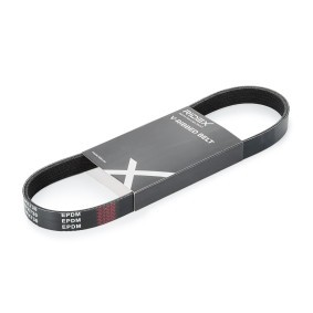 Achetez des Courroie Poly-V RIDEX 305P0195 à prix pour 8,77 €
