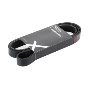 Achetez des Courroie d'alternateur de chez RIDEX en ligne pour Master Pro Van (FH__) à prix modérés
