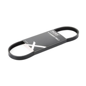 Achetez des Courroie Poly-V RIDEX 305P0006 à prix pour 5,21 €