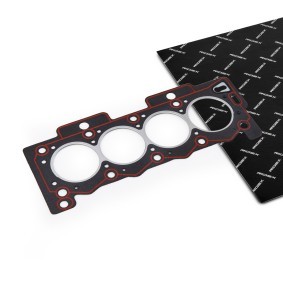 Compre Junta, cabeça do motor da RIDEX 318G0163 a um preço baixo por 14,28 €