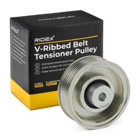 Comprar Polea inversión / guía, correa poli V de RIDEX 312D0071 a bajo precio de 27,16 €