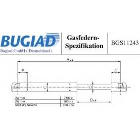 Heckklappendämpfer von BUGIAD