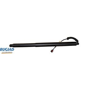 Compre Rolo tensor, correia dentada da BUGIAD BSP22194 a um preço baixo por 52,70 €