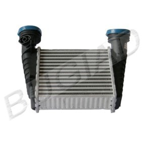 Köp Intercooler av BUGIAD BSP22586 till det låga priset 1499,01 kr