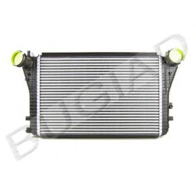 Köp Intercooler av BUGIAD BSP22761 till det låga priset 2956,56 kr