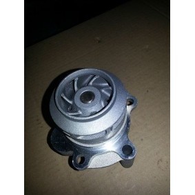 Achetez des Pompe à eau BUGIAD BSP23115 à prix pour 44,01 €