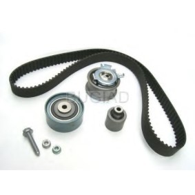 Acquista Kit cinghia di distribuzione da BUGIAD BSP23194 a buon mercato per soli 334,35 €