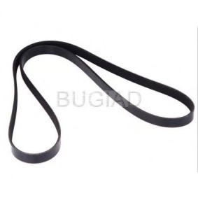 Achetez des Courroie Poly-V BUGIAD BSP23255 à prix pour 23,27 €