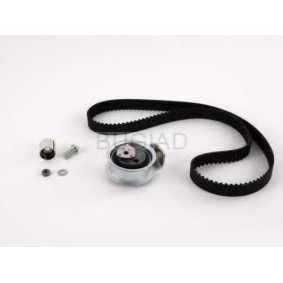Acquista Kit cinghia di distribuzione da BUGIAD BSP23317 a buon mercato per soli 187,84 €