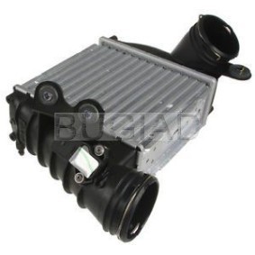 Köp Intercooler av BUGIAD BSP23382 till det låga priset 2069,46 kr