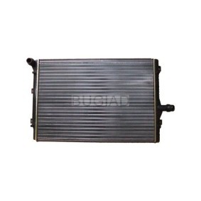 Kjøp Radiator, motorkjøling av BUGIAD BSP23438 til den lave prisen 1528,60 NOK