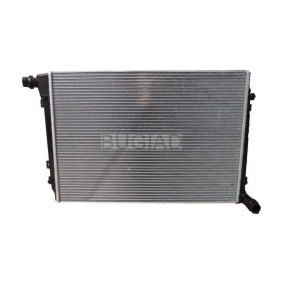 Kjøp Radiator, motorkjøling av BUGIAD BSP23439 til den lave prisen 2382,19 NOK