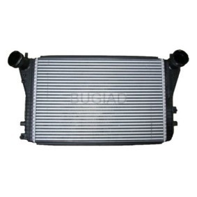 Köp Intercooler av BUGIAD BSP23447 till det låga priset 2201,26 kr