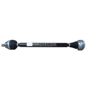 Comprar Árbol de transmisión de BUGIAD BSP23459 a bajo precio de 199,78 €