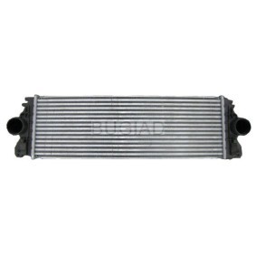 Köp Intercooler av BUGIAD BSP23699 till det låga priset 2992,26 kr
