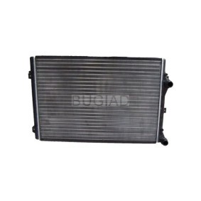 Kjøp Radiator, motorkjøling av BUGIAD BSP23991 til den lave prisen 1500,25 NOK