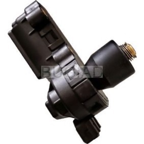 Zier- / Schutzleiste, Kühlergitter BSP24023
