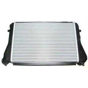 Köp Intercooler av BUGIAD BSP24404 till det låga priset 3736,47 kr