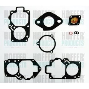Reparatursatz, Vergaser HS31G