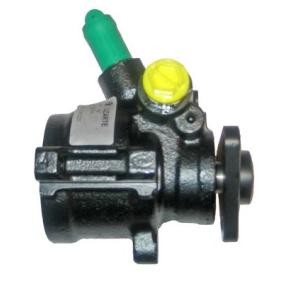 Servopumpe von LIZARTE