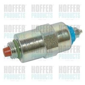 Comprar Corte, inyección combustible de HOFFER 8029000 a bajo precio de 21,64 €