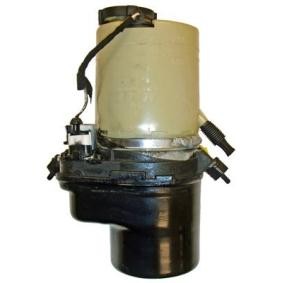 Servopumpe von LIZARTE