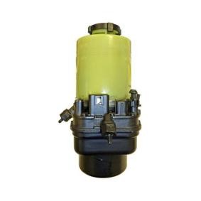 Servopumpe von LIZARTE für Vectra C CC (Z02) günstig online kaufen
