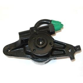 Servopumpe für ROVER von LIZARTE