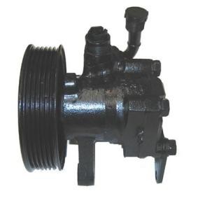 Servopumpe von LIZARTE 04.75.0112