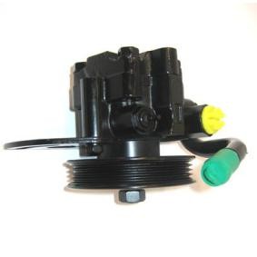 Achetez des Pompe de direction assistée LIZARTE 04.75.0129 à prix pour 318,03 €