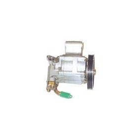 Servopumpe 04.92.0100 von LIZARTE günstig für 260,42 € online kaufen