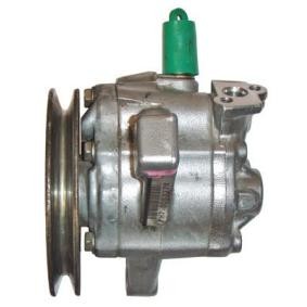 Servopumpe für ROVER von LIZARTE