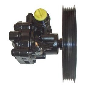 Achetez des Pompe de direction assistée LIZARTE 04.94.0405 à prix pour 345,43 €