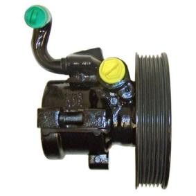 Achetez des Pompe de direction assistée LIZARTE 04.05.0102-1 à prix pour 263,36 €