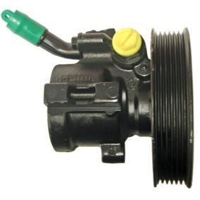 Achetez des Pompe de direction assistée LIZARTE 04.05.0107-1 à prix pour 270,04 €