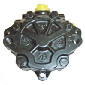 Servopumpe von LIZARTE