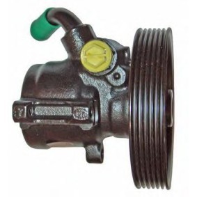 Servopumpe von LIZARTE