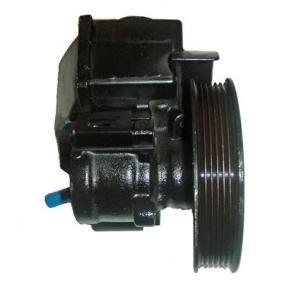 Servopumpe von LIZARTE