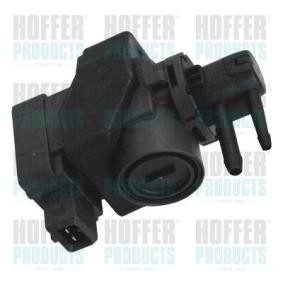 Compre Transmissor de pressão da HOFFER 8029265 a um preço baixo por 64,21 €